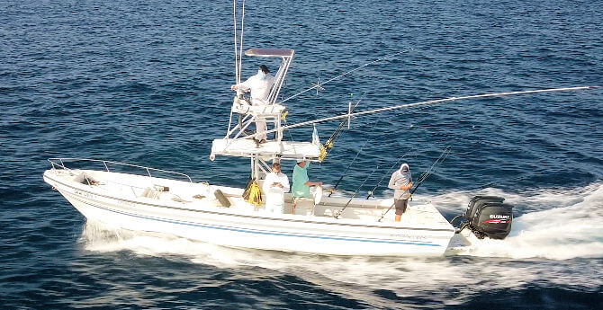 Que Vela! is a great Guatemala fishing vessel! Your friends back home that are shoveling snow from their driveways will eagerly await your fishing photos and fish stories!