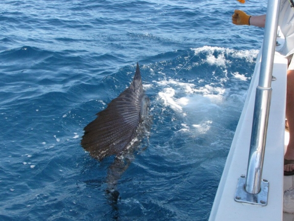 Colorful pictures like this are a greta reason to bring your camera along on your Panamax Vacation Charter.