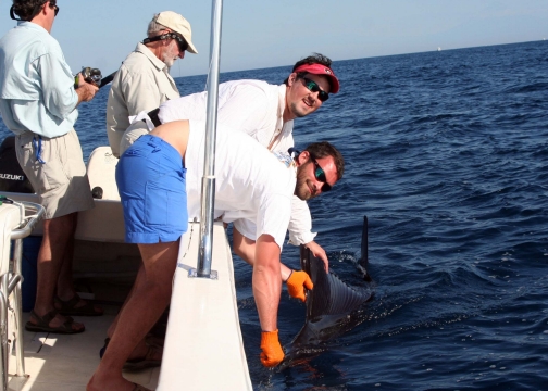  Sailfishing on the Que Vela! in Guatemala.