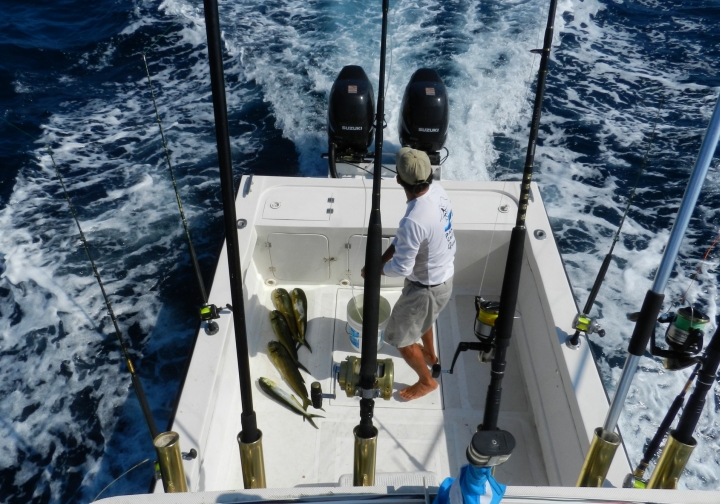  Sailfishing on the Que Vela! in Guatemala.