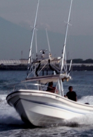  Sailfishing on the Que Vela! in Guatemala.