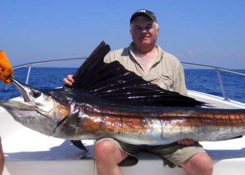 Tha's one giant pacific sailfish.